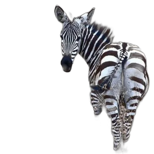 animal, jewelry, creature, staff, 3d render, concept art, photorealistic, fantasy art transparent PNG cut-out