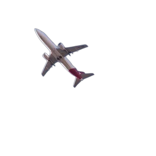 animal, staff, dragon, weapon, 3d render, white, airplane, red transparent PNG cut-out