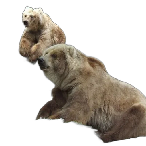 animal, creature, staff, 3d render, photorealistic, concept art, two, brown transparent PNG cut-out