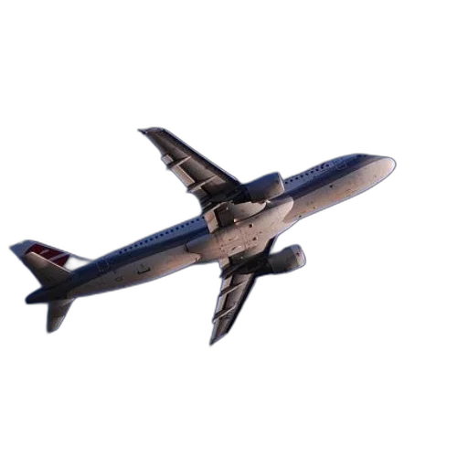 animal, 3d render, photorealistic, white, airplane, red, accents, flies transparent PNG cut-out