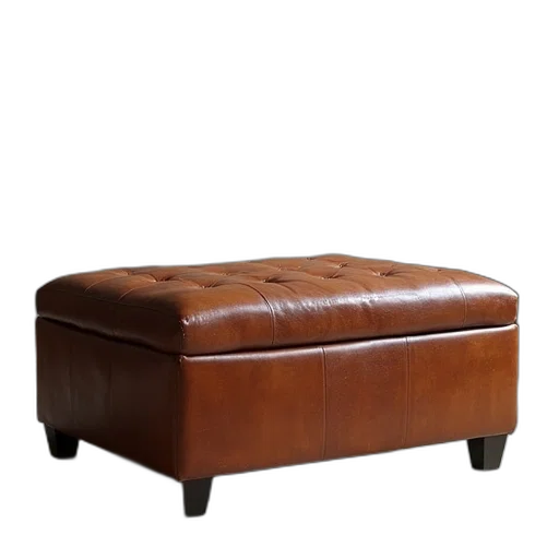 furniture, crown, 3d render, photorealistic, pair, leather, ottomans, storage transparent PNG cut-out