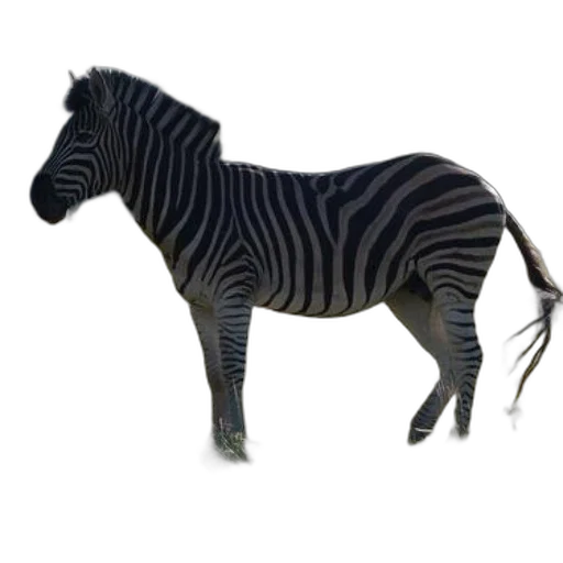animal, creature, staff, jewelry, 3d render, concept art, photorealistic, fantasy art transparent PNG cut-out