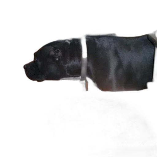 animal, staff, weapon, robot transparent PNG cut-out