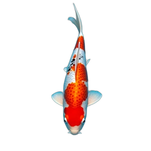 animal, staff, weapon, creature, 3d render, photorealistic, concept art, pixel art transparent PNG cut-out