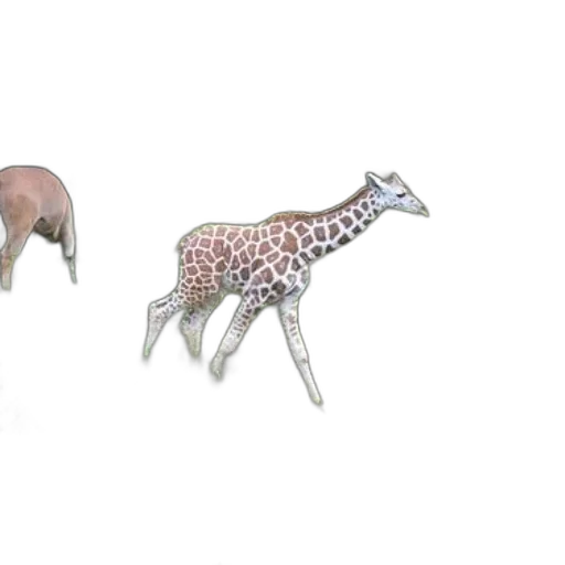 animal, jewelry, creature, furniture, 3d render, concept art, photorealistic, watercolor transparent PNG cut-out