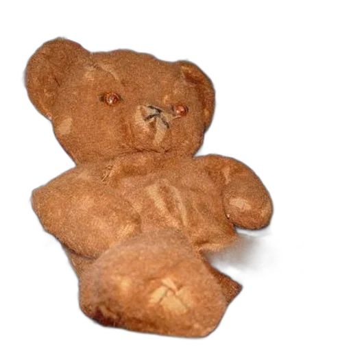 food, creature, animal, face, 3d render, photorealistic, brown, teddy transparent PNG cut-out