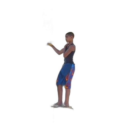 staff, weapon, creature, animal, 3d render, pixel art, concept art, boy transparent PNG cut-out