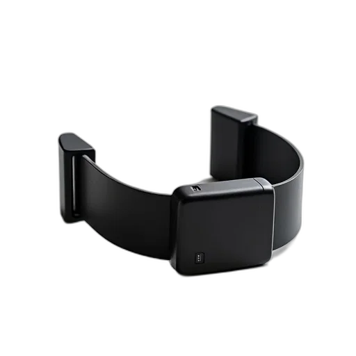 jewelry, furniture, crown, staff, 3d render, black, silicone, watch transparent PNG cut-out