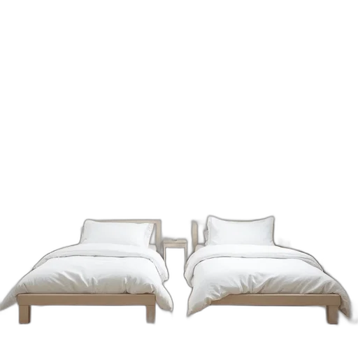 furniture, 3d render, photorealistic, concept art, earth tones, monochrome, two, beds transparent PNG cut-out