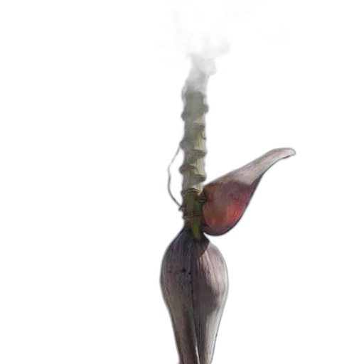 staff, weapon, flower, bottle, 3d render, concept art, photorealistic, fantasy art transparent PNG cut-out