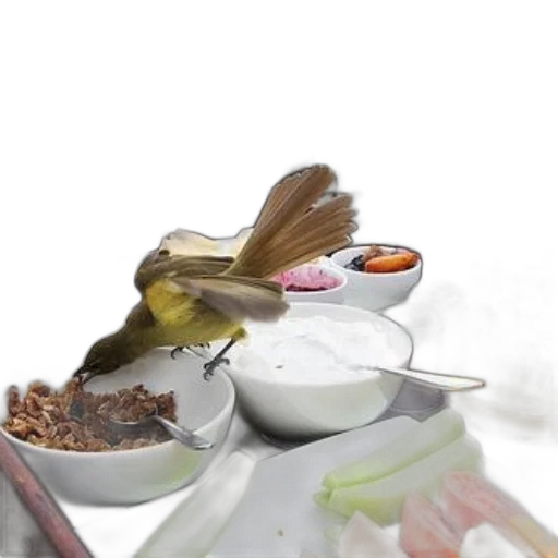 food, animal, staff, creature, photorealistic, 3d render, oil painting, concept art transparent PNG cut-out