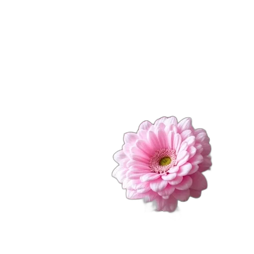 flower, crown, jewelry, weapon, 3d render, pixel art, photorealistic, vaporwave transparent PNG cut-out