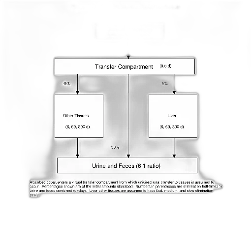figure, illustrates, icrp, biokinetics, model, cobalt, detailing, pathways transparent PNG cut-out