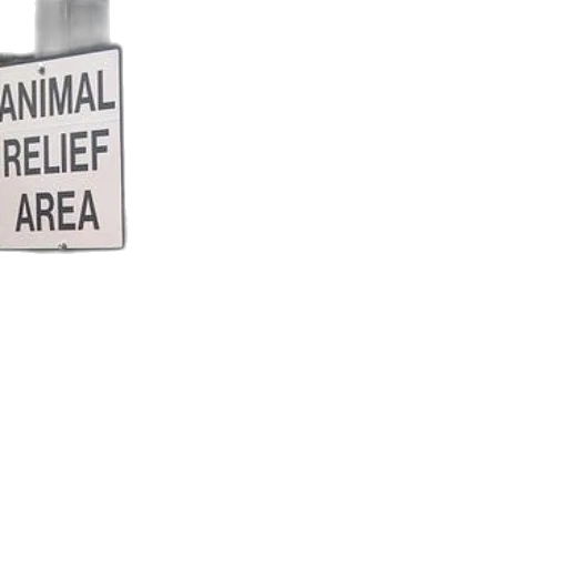 animal, furniture, 3d render, outer space, city street, fog, sign, relief transparent PNG cut-out