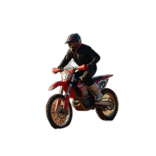 animal, 3d render, pixel art, photorealistic transparent PNG cut-out