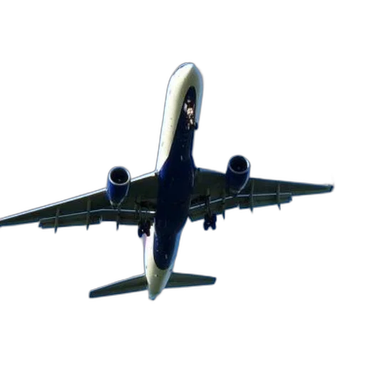 animal, staff, face, weapon, 3d render, photorealistic, commercial, airplane transparent PNG cut-out