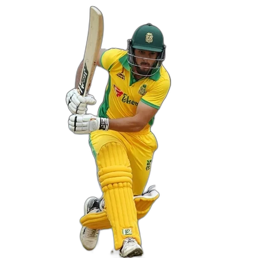 david, warner, action, during transparent PNG cut-out