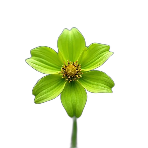 flower, crown, staff, jewelry, photorealistic, 3d render, concept art, oil painting transparent PNG cut-out