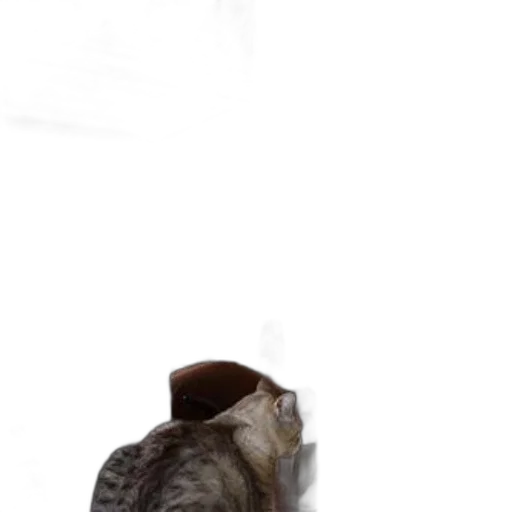hat, shoes, animal, staff, photorealistic, 3d render, concept art, snow transparent PNG cut-out