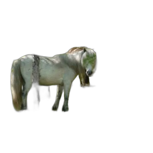 animal, creature, dragon, staff, 3d render, photorealistic, concept art, fantasy art transparent PNG cut-out