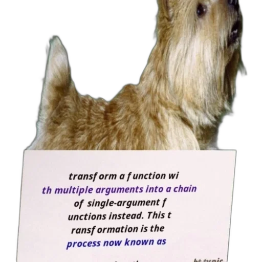 animal, furniture, creature, staff, dog, text, overlay, explaining transparent PNG cut-out