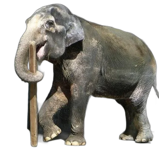 animal, staff, weapon, creature, 3d render, concept art, photorealistic, oil painting transparent PNG cut-out
