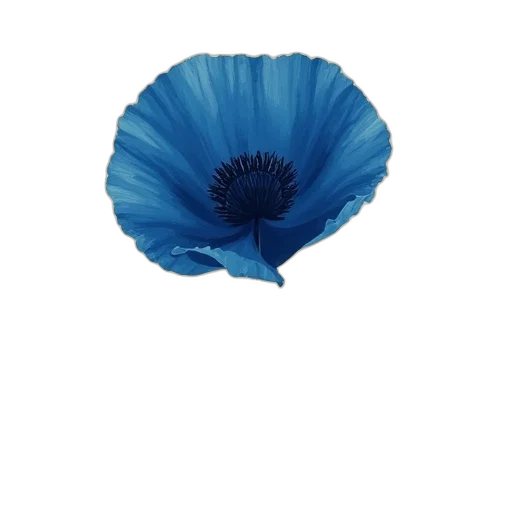 flower, hat, dress, crown transparent PNG cut-out