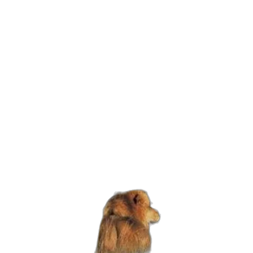 animal, creature, staff, hair, photorealistic, 3d render, concept art, outer space transparent PNG cut-out