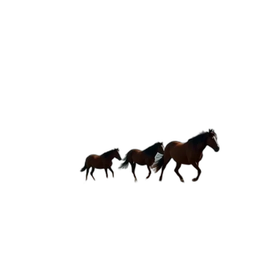 animal, creature, hair, dragon transparent PNG cut-out