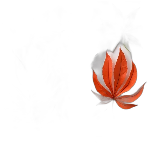 flower, crown, jewelry, mask transparent PNG cut-out