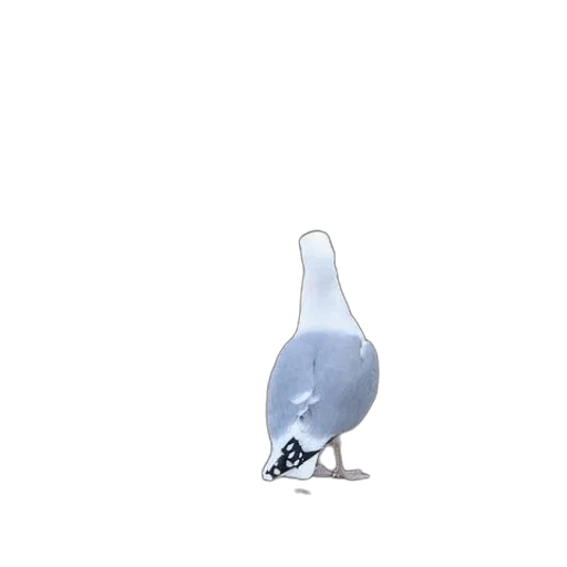 animal, bottle, robot, shoes, 3d render, concept art, photorealistic, pixel art transparent PNG cut-out