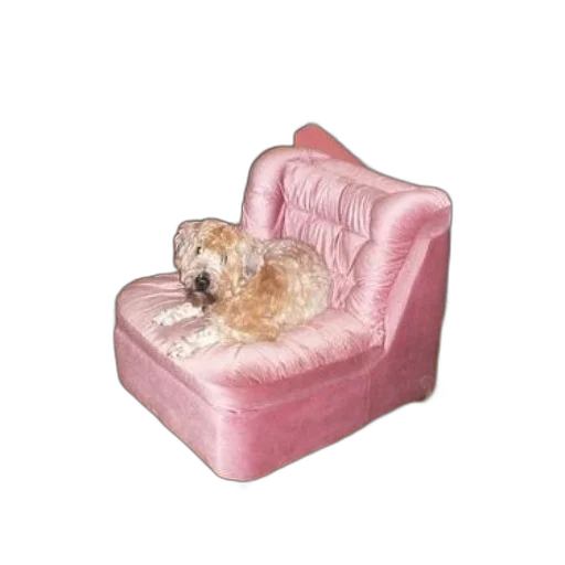 furniture, animal, 3d render, dog, sits, pink, chair, living transparent PNG cut-out