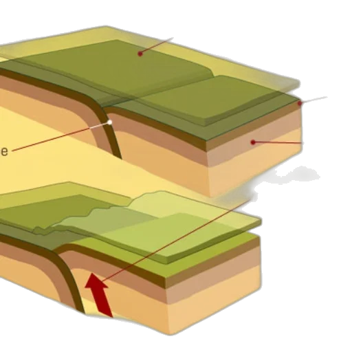 crown, furniture, jewelry, weapon, 3d render, concept art, forest, diagram transparent PNG cut-out