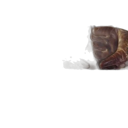 hair, animal, creature, face, photorealistic, concept art, 3d render, pixel art transparent PNG cut-out