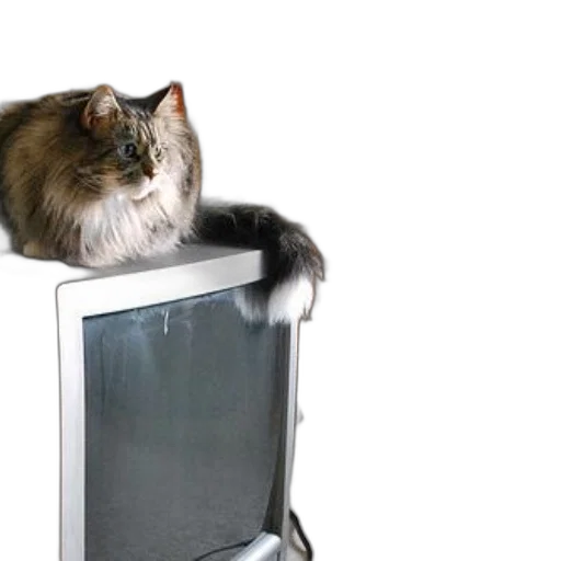 furniture, animal, robot, bottle, 3d render, fluffy, cat, sits transparent PNG cut-out