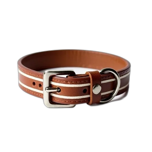 jewelry, crown, earth tones, brown, leather, dog, collar, silver transparent PNG cut-out