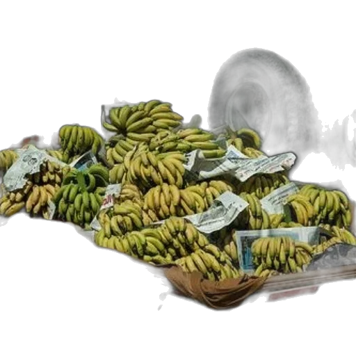 food, shoes, dragon, jewelry, concept art, 3d render, photorealistic, fantasy art transparent PNG cut-out
