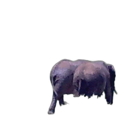 animal, creature, furniture, staff, 3d render, photorealistic, concept art, pixel art transparent PNG cut-out