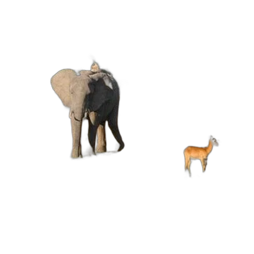 animal, creature, furniture, umbrella, 3d render, concept art, pixel art, photorealistic transparent PNG cut-out
