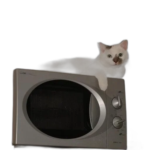 animal, furniture, robot, creature, 3d render, photorealistic, white, cat transparent PNG cut-out