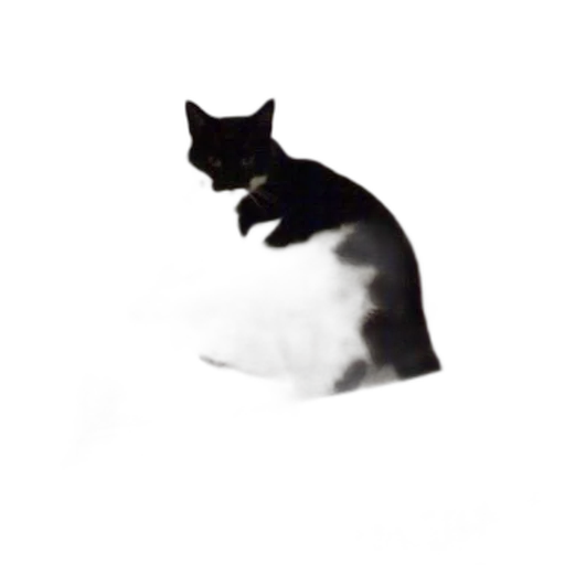 animal, creature, staff, hat, photorealistic, 3d render, concept art, pixel art transparent PNG cut-out