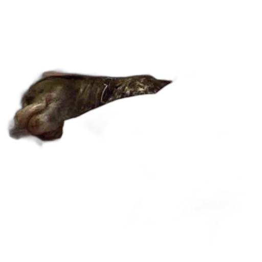 staff, animal, hair, creature transparent PNG cut-out