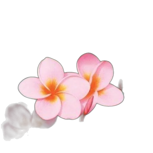 flower, jewelry, staff, crown, photorealistic, 3d render, oil painting, watercolor transparent PNG cut-out
