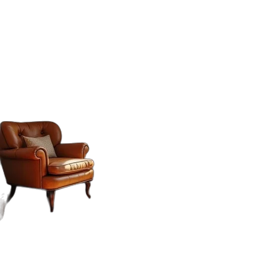 furniture, shoes, crown, hair, 3d render, photorealistic, concept art, earth tones transparent PNG cut-out