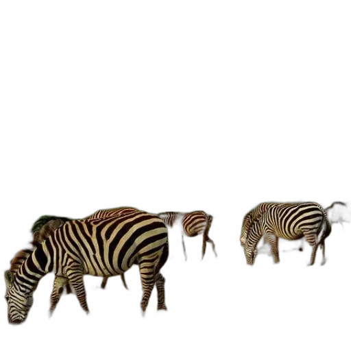 animal, creature, furniture, shoes, 3d render, concept art, photorealistic, pixel art transparent PNG cut-out