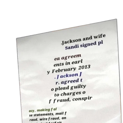 jacket, weapon, jackson, wife, sandi, signed, agreem, ents transparent PNG cut-out