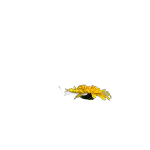 animal, flower, creature, dragon, 3d render, pixel art, concept art, photorealistic transparent PNG cut-out