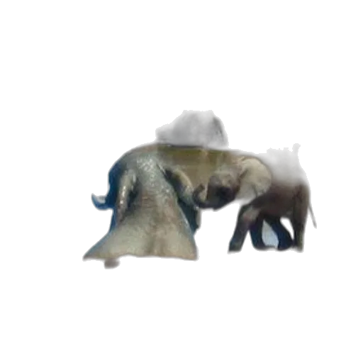 animal, creature, hat, weapon, 3d render, concept art, pixel art, photorealistic transparent PNG cut-out