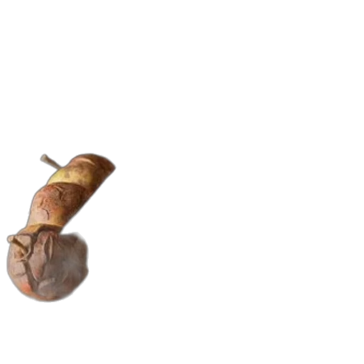 food, weapon, bottle, staff, 3d render, concept art, photorealistic, pixel art transparent PNG cut-out