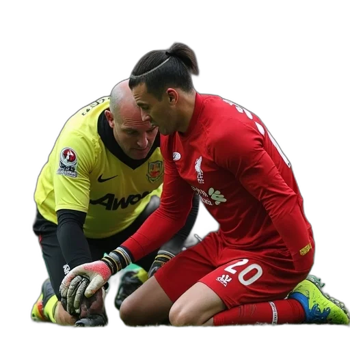 animal, liverpool, goalkeeper, joe, carrola, treated, after, injuring transparent PNG cut-out